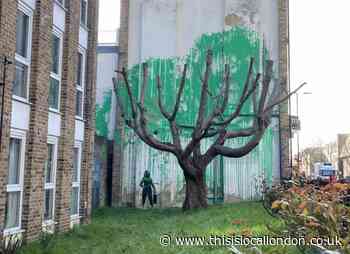 Banksy confirmed as artist behind Finsbury Park tree mural
