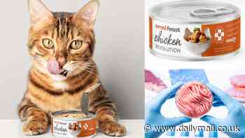 Would YOU feed your cat lab-grown meat? World's first cans of cultivated pet food are created in the UK
