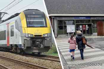 Treinen tussen Hasselt en Tongeren zullen in april vijf dagen lang niet rijden, NMBS voorziet vervangbussen