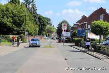 Bornem beloont ‘werfwinkelaars’: een hart onder de riem voor handelaars op Sint-Amandsesteenweg