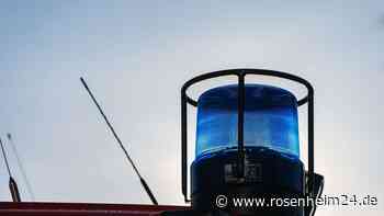 „War schon Eile geboten“: Baby und Hund aus verschlossenem Auto befreit