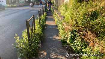 Ragazzo investito da pirata della strada i residenti: "Troppi incidenti, la strada non è sicura"