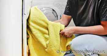 Cleaning expert warns white vinegar should NOT be used on four things in your home