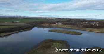 Northumberland nature reserves get £750,000 boost to enhance biodiversity