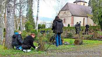 Aktion der CHR Nagold: Schüler reinigen    auf dem  Friedhof Kriegsgräber
