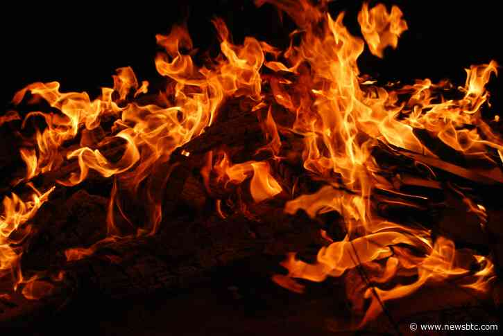 Shiba Inu Price Soars 10% In Reaction To Explosive 2,367% SHIB Burn Surge