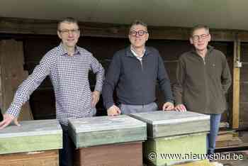 Imkers Bruno en Evert luiden aan alarmbel, helft van hun bijen heeft winter niet overleefd: “Het verdwijnsyndroom”