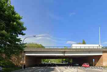 Digitale infosessie vernieuwing bruggen E313/E34 over Sterckshoflei en Cornelissenlaan