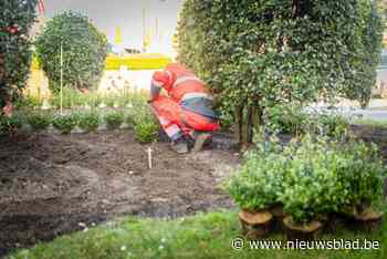 Meer dan 4.000 bloeiers, grassen en heesters aangeplant in alle deelkernen