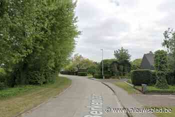 Bewoonster betrapt inbreker in keuken: dader ontsnapt