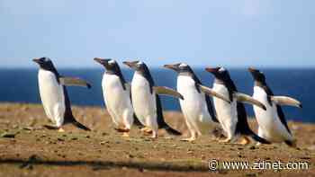 The 6 Linux commands you need to know for user management