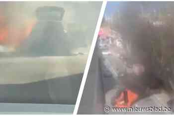 Auto vat vuur op Hanssenslaan: geen gewonden ondanks spectaculaire vlammenzee