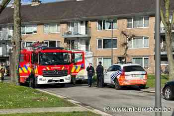 Bewoner kan zelf keukenbrand blussen