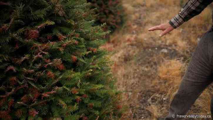 B.C. to provide $80 million to help farmers cope with drought