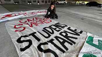 USF students plan hunger strike for peace in Gaza