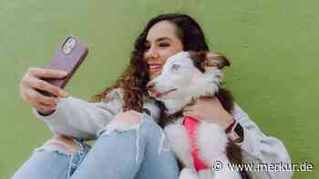 Unglückliche Vierbeiner auf TikTok und Co.: Menschen verstehen Verhalten von Hunden oft falsch