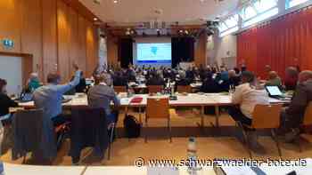 Krankenhäuser Calw und Nagold: Fusion und  Medizinkonzept: So hat der Kreistag  abgestimmt