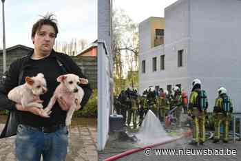 Dempsey (29) kan nog net hondjes Buddy en Sheba redden uit brand, maar komt voor andere huisdieren te laat