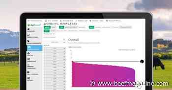 AgBoost scales AI-enabled genetic data software for cattle producers