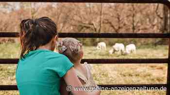 „Kein Umweg über Brieftaschen der Eltern“: Arche-Gründer befürwortet Kinderzukunftsgeld