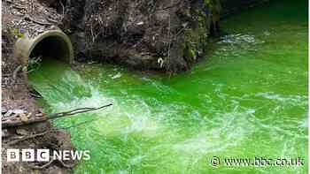 'Harmless dye' turns river 'fluorescent green'