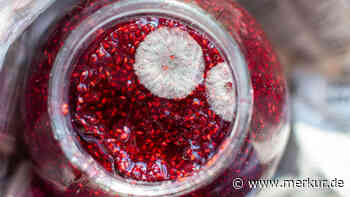 Schimmel einfach wegschneiden? Weitverbreiteter Irrglaube bei Marmelade und Obst