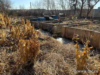 This warm weather doesn’t mean winter is over in Edmonton