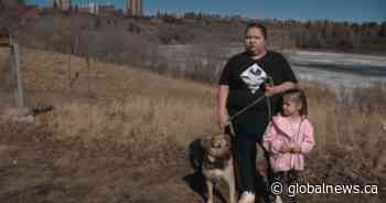 Good Samaritans rescue dog from Edmonton’s North Saskatchewan River