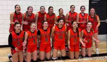 HOOPLA hooped? STF, Sask. premier defend themselves with tournament in jeopardy