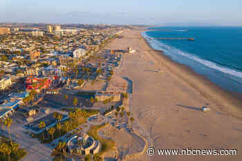 California police chase ends after woman drives car with dogs onboard into ocean
