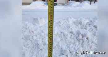 Lethbridge launches snow removal survey; residents frustrated with past issues
