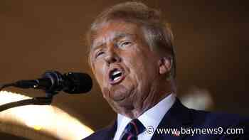 The Big Stories: Florida voters prepare to cast their ballots as Trump walks back his "bloodbath" comment, and Americans await evacuation in Haiti.