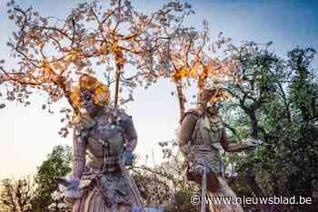 Van schemerwandeling tot acrobatie: scoor nu al je tickets voor deze bloesemevents in Limburg