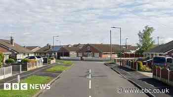 Pedestrian dies after being hit by car