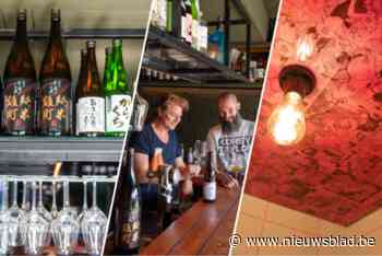 Casual en betaalbaar, met houten bar en Japanse porno op het plafond: dit is Hiro, de nieuwe hotspot op ’t Eilandje