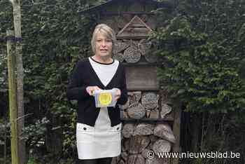 Dertig vallen in strijd tegen Aziatische hoornaar: “Het is alle hens aan dek”