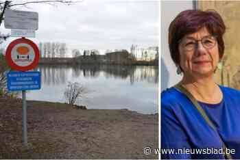 Geen extra windmolens maar wel vier drijvende voetbalvelden vol zonnepanelen: stad wil zelf meer elektriciteit opwekken