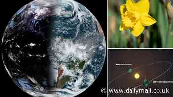 Spring has officially sprung! Vernal Equinox is today as the sun shines directly over the equator - meaning winter is finally over