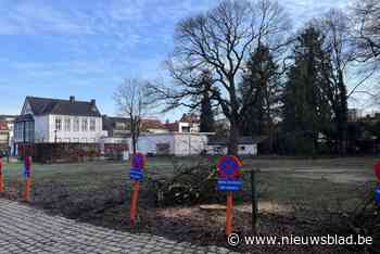 Groen klaagt bomenkap en andere mistoestanden in ‘t Parkske aan: “Het lijkt wel een slagveld”