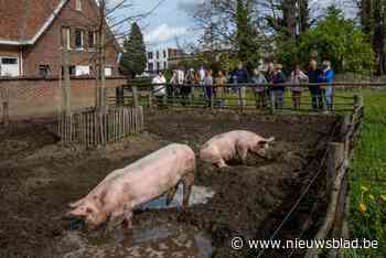 Kinderboerderij Rivierenhof zoekt gidsen