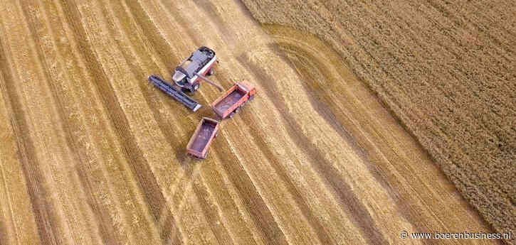 Europa verlegt de aandacht naar graan uit Rusland