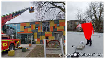 So geht Burghausen mit künstlicher Intelligenz gegen die Krähen-Plage vor