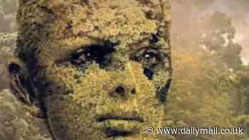 'Amazing' optical illusion reveals whether others view you as 'stubborn' or 'loyal and trustworthy'... so, what does it say about YOU?