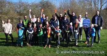 Dinnington recreation ground to see over 130 trees planted following community feedback