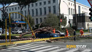 Paura a Roma, albero crolla sulla Colombo su due auto. Un ferito