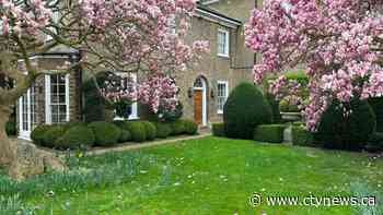 Freddie Mercury's home is on the market for first time since 1980 minus his 'exquisite clutter'