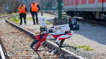 Roboter-Hund jagt Graffiti-Sprayer und Randalierer: Diese Geheimnisse stecken in „Spot“
