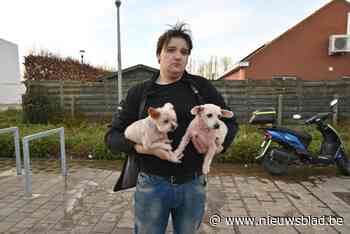 Brandje in burgemeester Thiersstraat was accidenteel