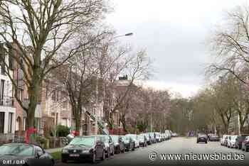 Bijna 1.000 bezwaarschriften tegen heraanleg Ter Rivierenlaan in Deurne