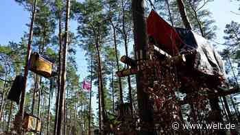 Baumhäuser im Protestcamp gegen Tesla dürfen bleiben